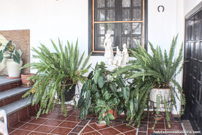 habitaciones_dona_Cris_lanzarote_holidays_rooms_vacacional_web61