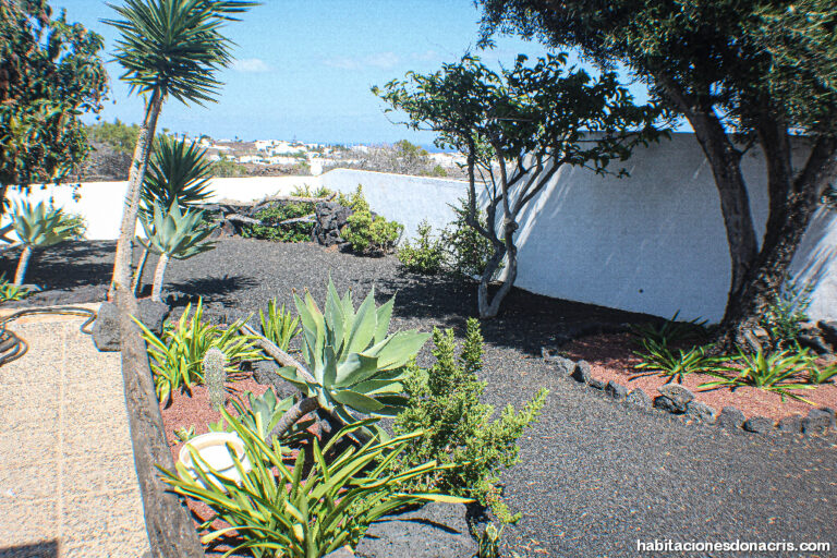 habitaciones_dona_Cris_lanzarote_holidays_rooms_vacacional_web89