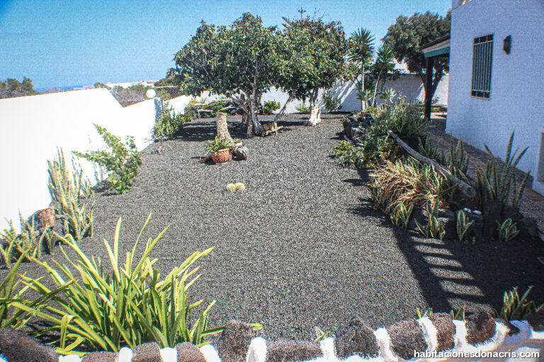 habitaciones_dona_Cris_lanzarote_holidays_rooms_vacacional_web91