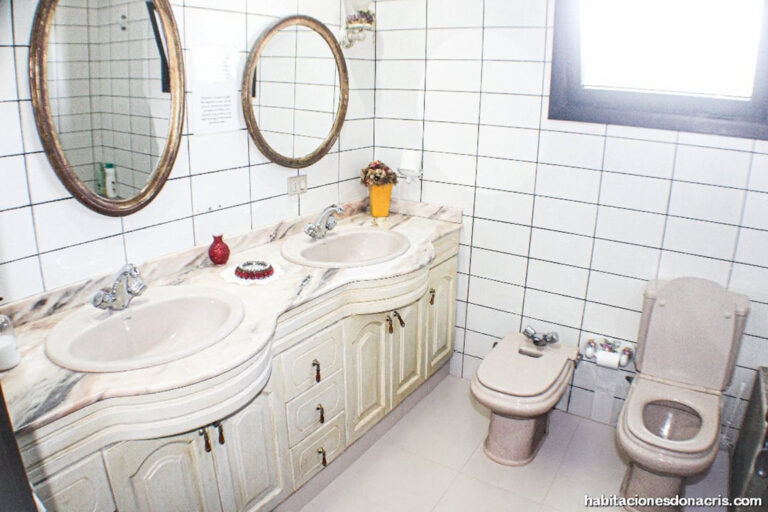 wc_sin_agua